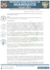 Vista preliminar de documento RA 016