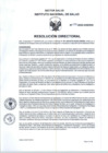 Vista preliminar de documento RD-090-2025-DIIS-INS