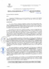 Vista preliminar de documento RG. 000006-2025-GSATDE