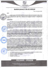 Vista preliminar de documento rgm6