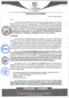 Vista preliminar de documento rgm10