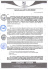 Vista preliminar de documento rgm11