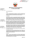 Vista preliminar de documento RSI-266-2024-SUNAFIL (1)
