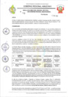 Vista preliminar de documento RESOLUCION N 079