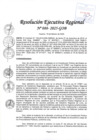 Vista preliminar de documento RER 088-2025-GOB
