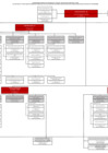 Vista preliminar de documento organigrama-nominal-21022025