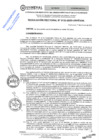 Vista preliminar de documento RES. REC. 0133-2025
