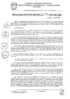 Vista preliminar de documento RDR 034-2025