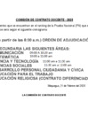 Vista preliminar de documento 02 horario de adjudicacion COMISIÓN DE CONTRATO DOCENTE 2025