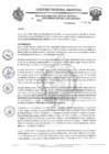 Vista preliminar de documento RESOLUCION N 011