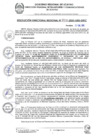 Vista preliminar de documento RDR 038-2025