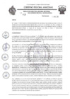Vista preliminar de documento RESOLUCION N 015