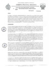 Vista preliminar de documento RESOLUCION N 029