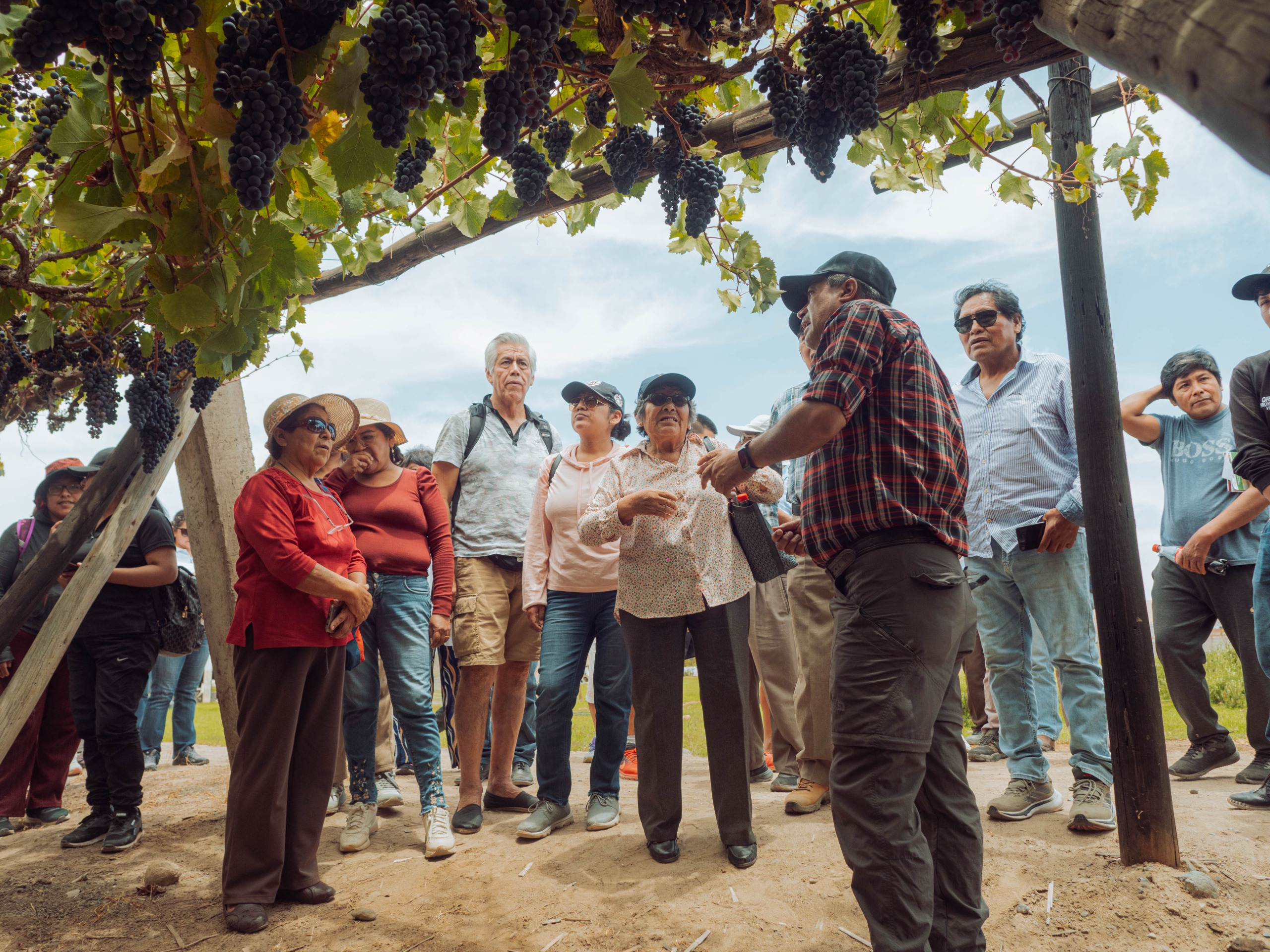 Más de 100 productores de vino capacitados