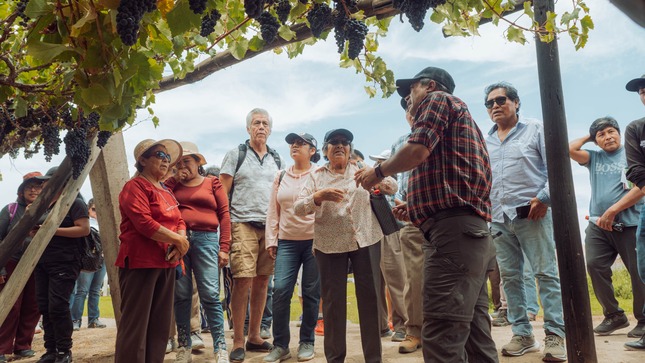 Más de 100 productores de vino capacitados 