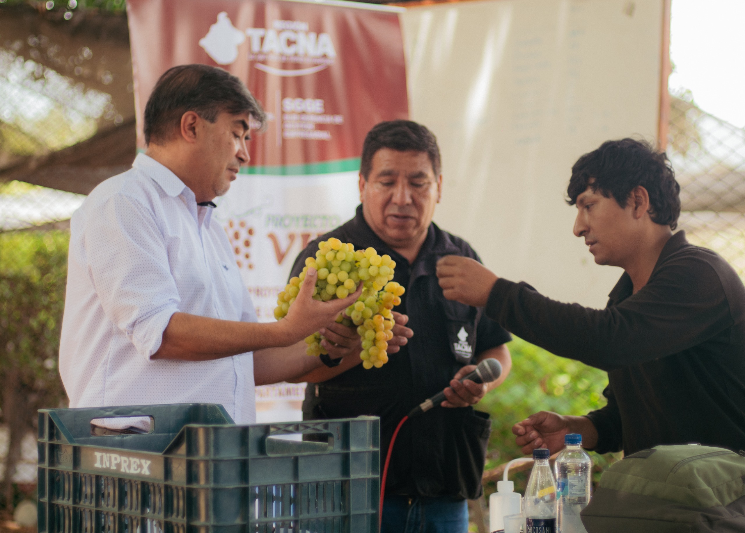 Más de 100 productores de vino capacitados