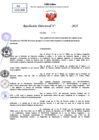Vista preliminar de documento Resolucion Directoral N° 000687-2025