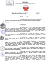 Vista preliminar de documento Resolucion Directoral N° 000691-2025