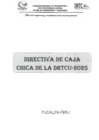 Vista preliminar de documento DIRECTIVA 001-2025 a RAR 002-2025