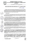 Vista preliminar de documento RDR 041-2025