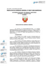 Vista preliminar de documento 017-2025-SANIPES/GG