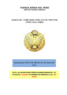 Vista preliminar de documento BASES CONCURSO PÚBLICO DE MÉRITOS 004