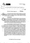 Vista preliminar de documento RDR 0008-2025