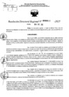 Vista preliminar de documento RDR 0011-2025