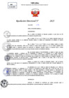Vista preliminar de documento Resolucion Directoral N° 000773-2025