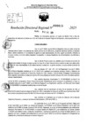 Vista preliminar de documento RDR 0015-2025