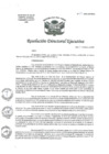 Vista preliminar de documento R.D.E. Nº027-2025-HNAL-OEA