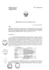 Vista preliminar de documento R.D.E. Nº029-2025-HNAL-OEA