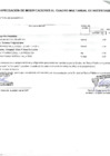 Vista preliminar de documento Modificaciones al Cuadro Multianual de Necesidades Nº 00000024-2025-MDSA