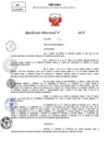 Vista preliminar de documento Resolucion Directoral N° 000791-2025