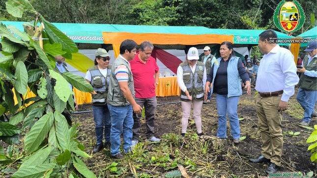 MPLC dio inicio a la plantación de cacao chuncho en las cuencas del distrito de Santa Ana como parte de proyecto productivo
