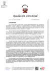 Vista preliminar de documento RD N° 110-2025-EF 49.01