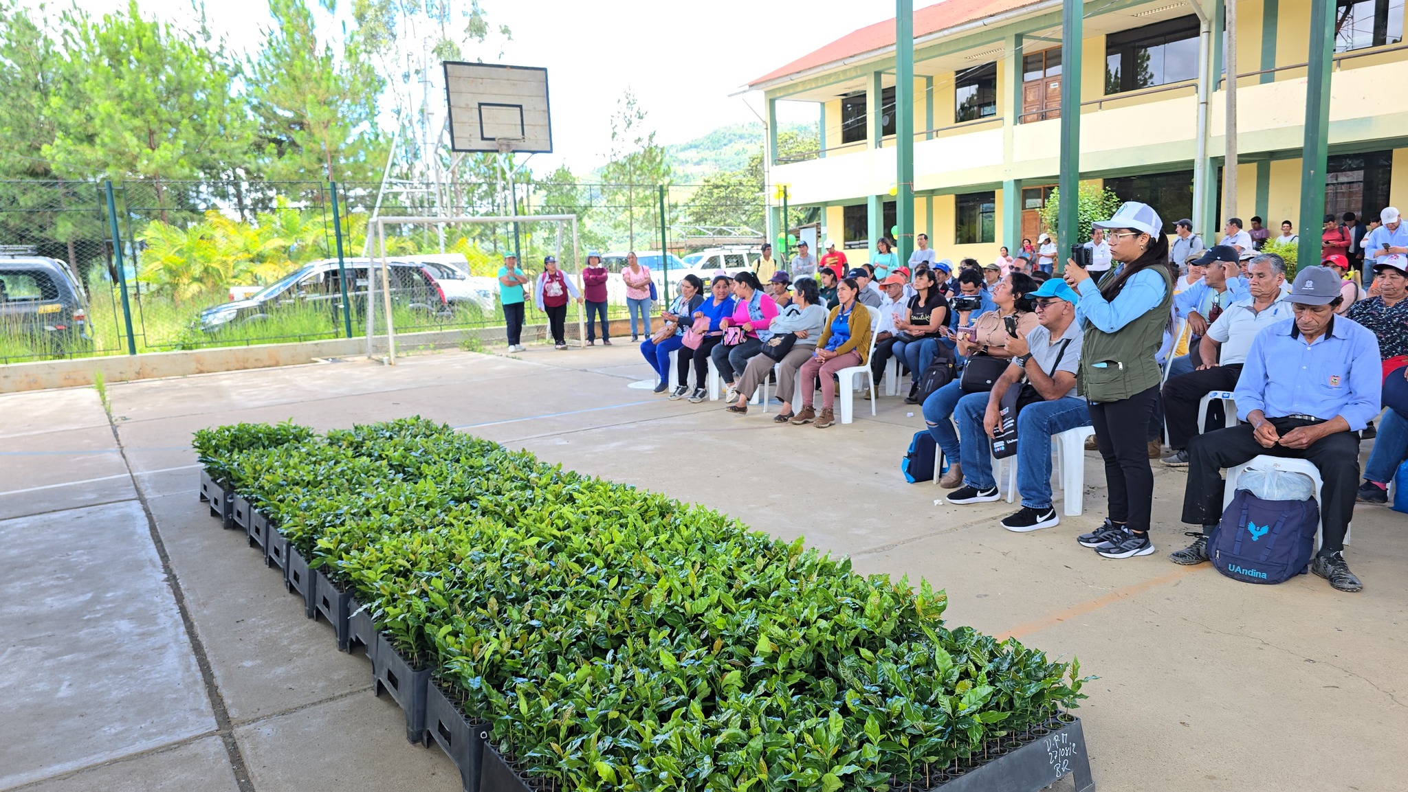 Alcalde de La Convención emprendió proceso de plantación de café especial en el sector de Huayanay como parte del proyecto café