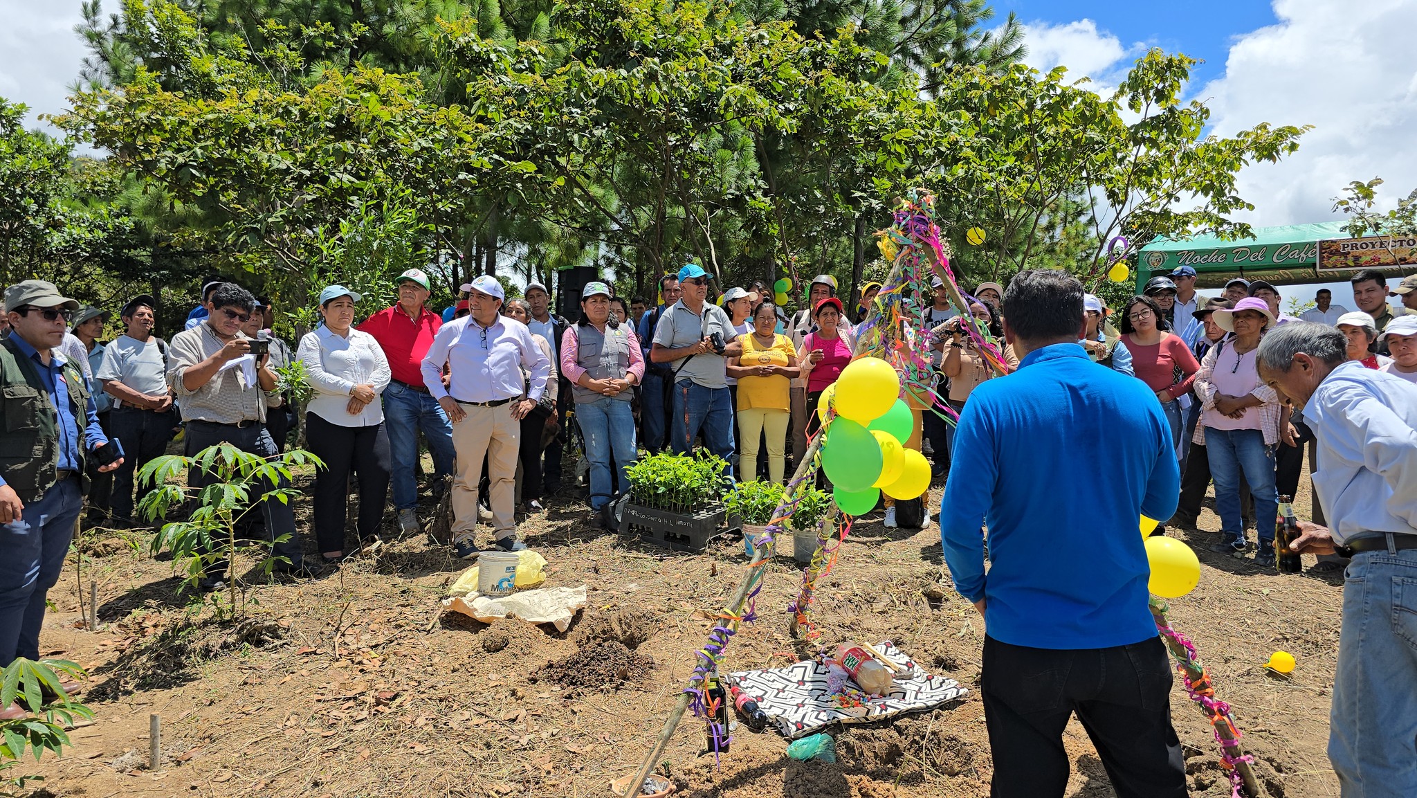Alcalde de La Convención emprendió proceso de plantación de café especial en el sector de Huayanay como parte del proyecto café