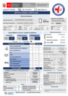 Vista preliminar de documento REPORTE GTGRD 22-02 TURNO DIA
