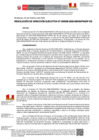 Vista preliminar de documento RDE038