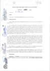 Vista preliminar de documento DESIGNAR COMO RESPONSABLE DEL MANEJO DE CAJA CHINA DE LA DIRECCIÓN REGIONAL DE EDUCACIÓN JUNÍN  AL CPC EDISON SATURNINO PÉREZ VILCUHUAMAN