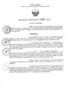 Vista preliminar de documento 300