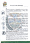 Vista preliminar de documento resolucion N.030
