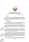 Vista preliminar de documento RDE N° 035-2025-DE ASIGNAR JEFE UIR