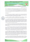 Vista preliminar de documento RESOLUCION GERENCIAL Nº 0017-2025-MPPA-A-GM-GDSE