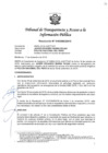 Vista preliminar de documento Resolución N° 010308632019