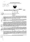 Vista preliminar de documento RDR 0021-2025
