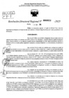 Vista preliminar de documento RDR 0023-2025