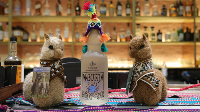 Realización del evento “Pisco Time: La Ruta del Pisco” en Nueva Delhi