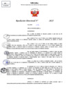Vista preliminar de documento Resolucion Directoral N° 000809-2025